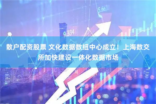 散户配资股票 文化数据数纽中心成立！上海数交所加快建设一体化数据市场